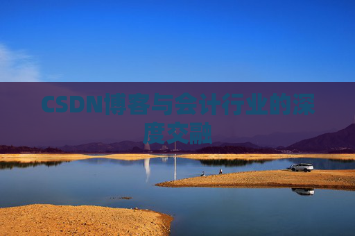 CSDN博客与会计行业的深度交融 CSDN博客与会计行业的深度交融