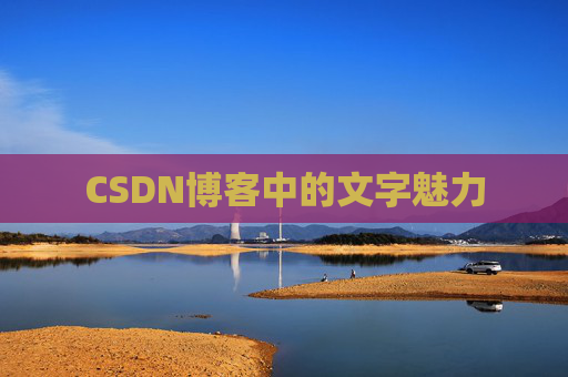 CSDN博客中的文字魅力