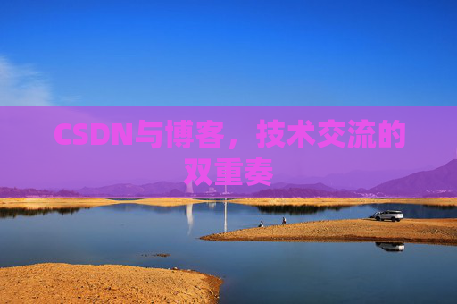 CSDN与博客，技术交流的双重奏